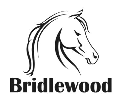 Bridlewood Community Elementary School Ice Cream Fundraiser!