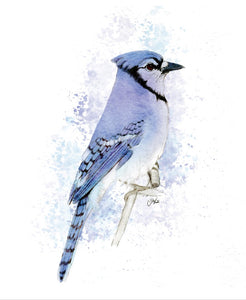 Blue Jay (Blank inside) Cards by Jacinta INK