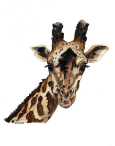 Giraffe (Blank inside) Cards by Jacinta INK
