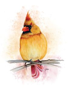 Female Northern Cardinal (Blank inside) Cards by Jacinta INK