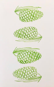 Seasonal Pine Cones by Maria Connell Holiday Greeting Cards by Local Artists