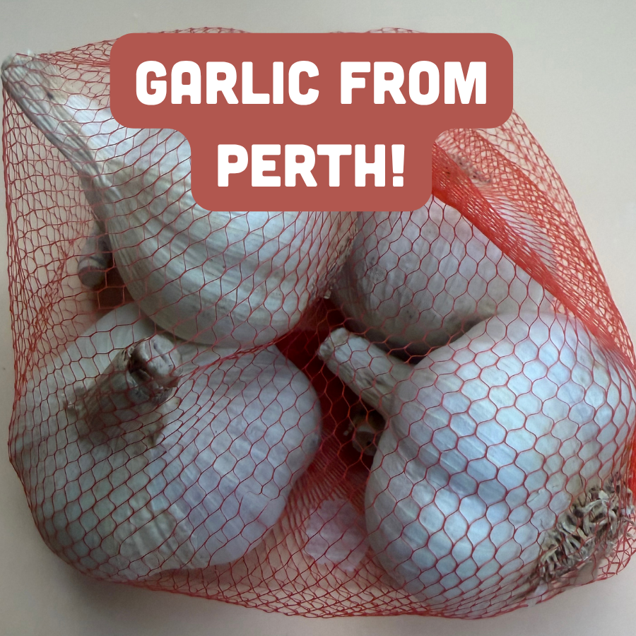 Garlic from Perth!