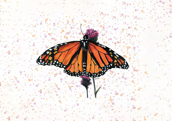 Cards by Jacinta INK