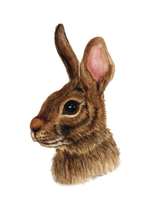 Rabbit (Blank) Cards by Jacinta INK