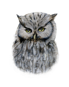 Screech Owl (Blank) Cards by Jacinta INK
