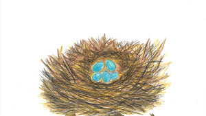 Robin Eggs Billet Doux - Cards by Maria Connell